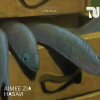 Aimee Zia Hasan: Displaced