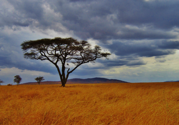 Cestovatelská přednáška - Národní parky Tanzánie